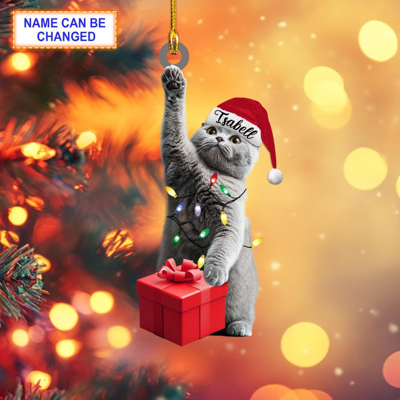 Custom Name British Shorthair Cat With Santa Hat And Christmas Lights, Christmas Tree Hanging Decor, Christmas Ornament, Flat 2D Ornament