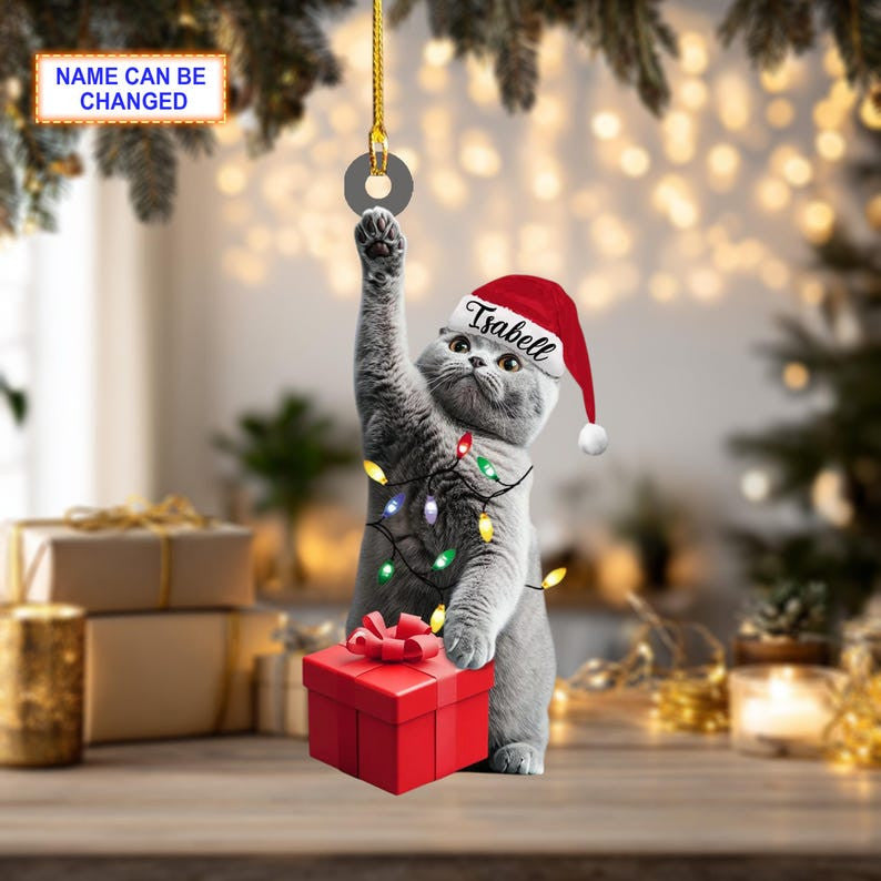 Custom Name British Shorthair Cat With Santa Hat And Christmas Lights, Christmas Tree Hanging Decor, Christmas Ornament, Flat 2D Ornament