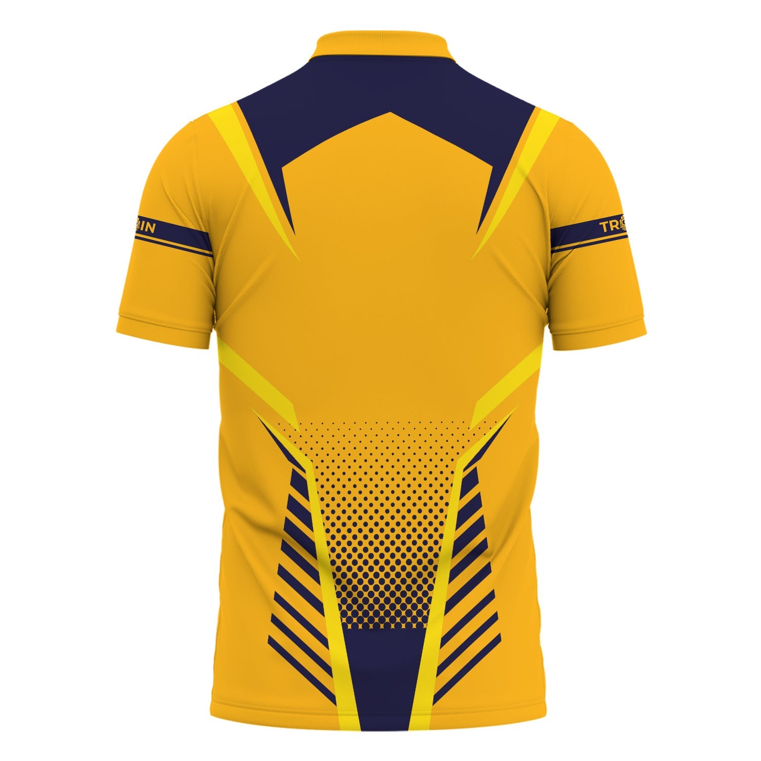 Railspirit Personalized Chesapeake and Ohio Railway Polo Shirt Unisex C&O Train Shirt All Over Print