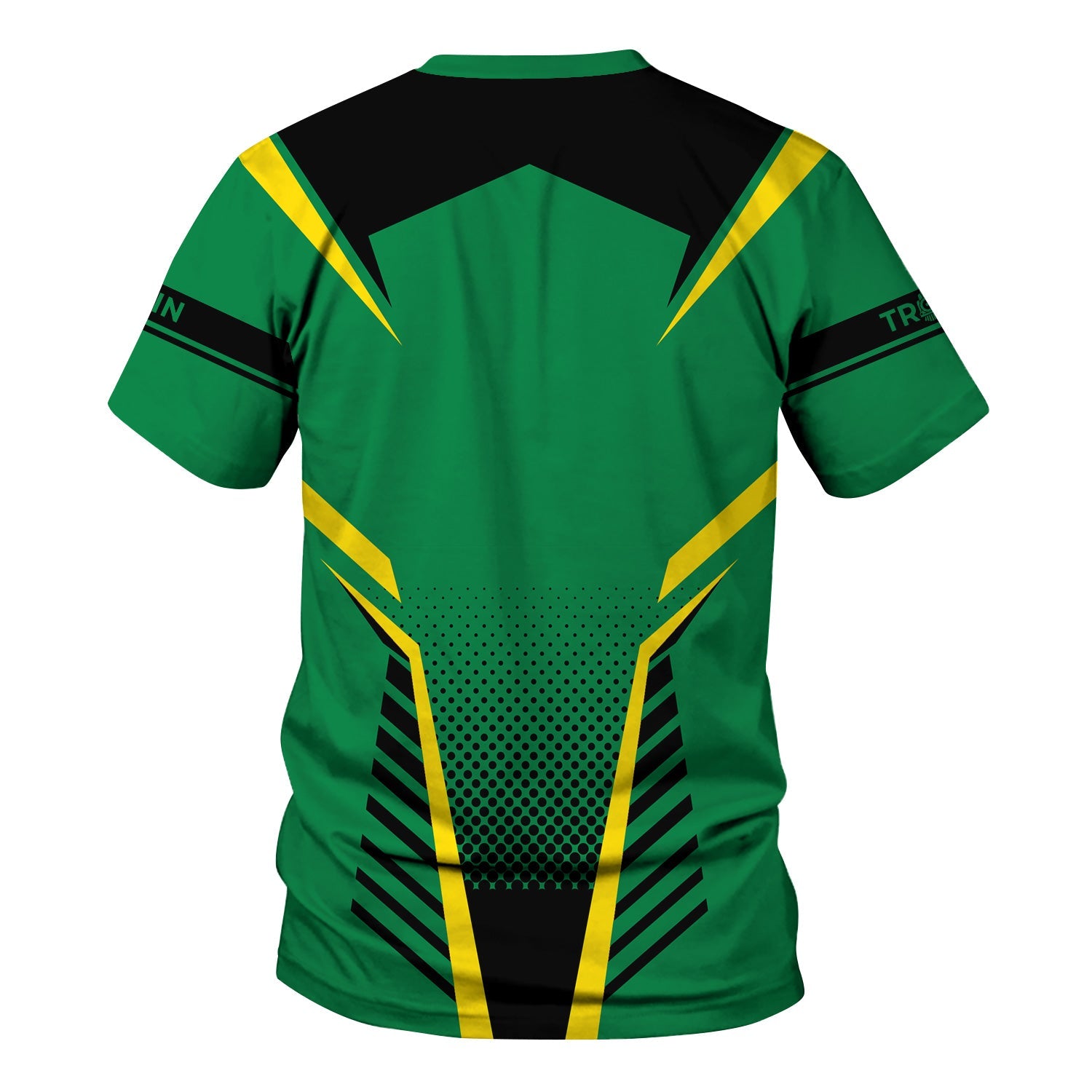 Railspirit Personalized Pittsburgh And Lake Erie Railroad T Shirt Unisex Train Shirt All Over Print