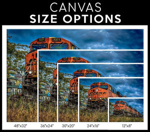 Bnfs Single Canvas Rectangle Bnsf 04096 Framed Matte Canvas 12x16