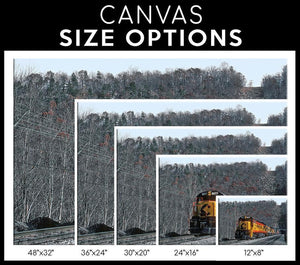 Chessie Single Canvas Rectangle The Chessie System Railroad 04281 Wrapped Canvas 20x30