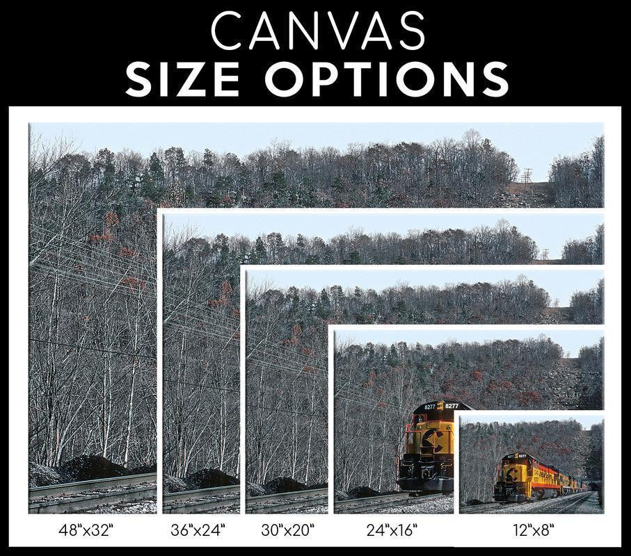 Chessie Single Canvas Rectangle The Chessie System Railroad 04281 Wrapped Canvas 20x30