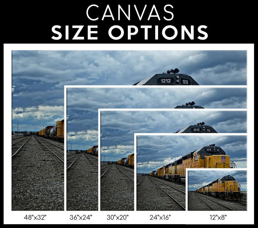 Unionpacific Single Canvas Rectangle Union Pacific Railway 04135 Wrapped Canvas 20x30