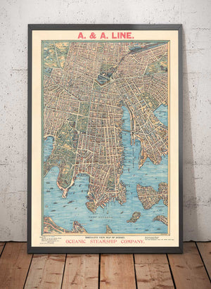 Old Map of Sydney 1902 by John Andrew - Coves Bays, Harbours, Port Jackson, Central Station, Botanic Garden